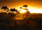 Freshwater Creek